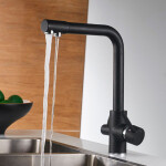 Kitchen faucet Zegor SAF-18-KB