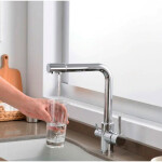 Kitchen faucet Zegor SAF-18