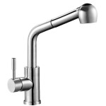 Kitchen faucet Zegor SAP-4-E