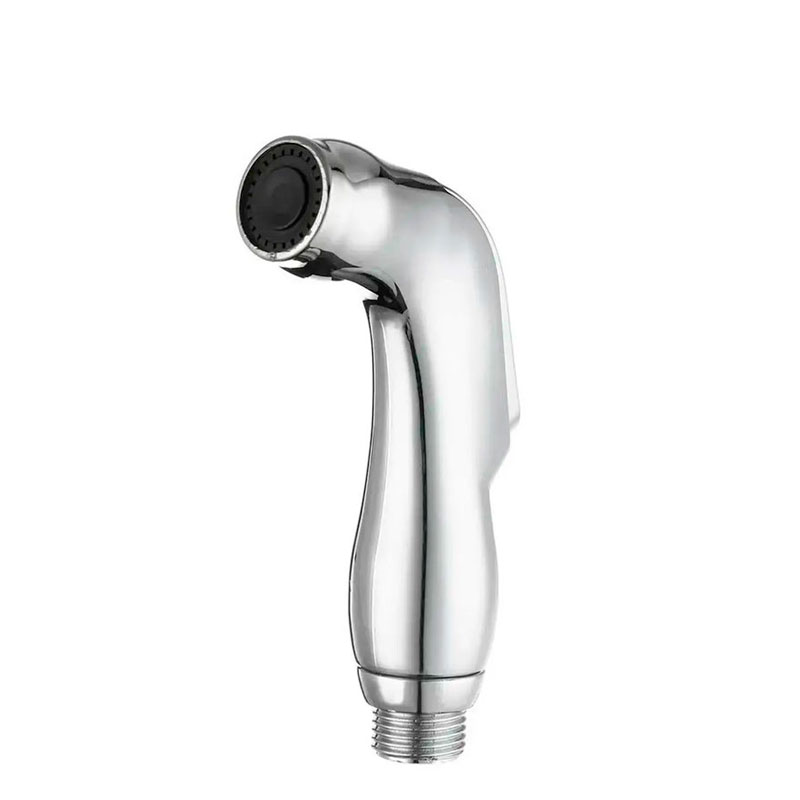 Hygienic Shower head Zegor WKY-001